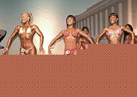 Click image for larger version

Name:	Cat.Miss Shape-30 Conf. frontale (63).jpg
Views:	57
Size:	90.8 KB
ID:	15896807