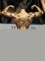 Click image for larger version

Name:	Cat.Alte Taglie I°class Papa Ernesto (5).jpg
Views:	105
Size:	118.9 KB
ID:	15896823