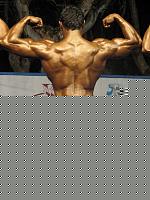 Click image for larger version

Name:	Cat.Alte Taglie I°class Papa Ernesto (6).jpg
Views:	120
Size:	138.8 KB
ID:	15896824