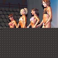 Click image for larger version

Name:	Cat.Miss Shape-30 Conf. frontale (73.).jpg
Views:	297
Size:	145.6 KB
ID:	15896831