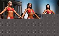Click image for larger version

Name:	Cat.Miss Shape-30 Conf. frontale (74).jpg
Views:	355
Size:	43.2 KB
ID:	15896834