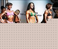 Click image for larger version

Name:	Cat.Miss Shape-30 Conf. frontale (72).jpg
Views:	68
Size:	39.7 KB
ID:	15896837