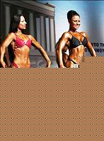 Click image for larger version

Name:	Cat.Miss Shape-30 Conf. frontale (80).jpg
Views:	68
Size:	36.8 KB
ID:	15896882