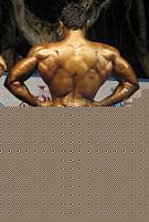 Click image for larger version

Name:	Cat.Alte Taglie I°class Papa Ernesto (9).jpg
Views:	116
Size:	137.1 KB
ID:	15896902