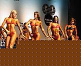 Click image for larger version

Name:	Cat.Miss Shape-30 Conf. laterale (25).jpg
Views:	275
Size:	8.5 KB
ID:	15896917