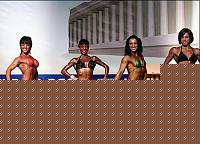Click image for larger version

Name:	Cat.Miss Shape-30 Conf. laterale (7).jpg
Views:	195
Size:	41.5 KB
ID:	15896965