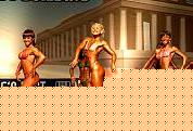 Click image for larger version

Name:	Cat.Miss Shape-30 Conf. laterale (35).jpg
Views:	264
Size:	8.4 KB
ID:	15896978