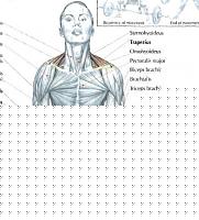 Click image for larger version

Name:	stacco.jpg
Views:	80
Size:	53.1 KB
ID:	15896986