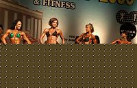 Click image for larger version

Name:	Cat.Miss Shape-30 Conf. laterale (27).jpg
Views:	71
Size:	89.4 KB
ID:	15897015