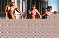 Click image for larger version

Name:	Cat.Miss Shape-30 Conf. laterale (38).jpg
Views:	56
Size:	45.8 KB
ID:	15897083