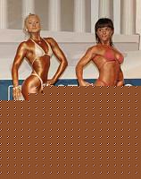 Click image for larger version

Name:	Cat.Miss Shape-30 Conf. frontale (33).jpg
Views:	259
Size:	69.5 KB
ID:	15897091