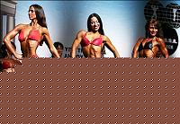 Click image for larger version

Name:	Cat.Miss Shape-30 Conf. laterale (40).jpg
Views:	260
Size:	40.5 KB
ID:	15897116