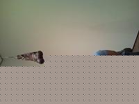 Click image for larger version

Name:	SNC00204.jpg
Views:	76
Size:	43.4 KB
ID:	15897164