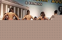 Click image for larger version

Name:	Cat.Miss Shape-30 Conf. schiena (2).jpg
Views:	83
Size:	97.1 KB
ID:	15897176