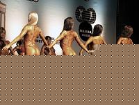 Click image for larger version

Name:	Cat.Miss Shape-30 Conf. schiena (3).jpg
Views:	73
Size:	58.3 KB
ID:	15897203