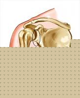 Click image for larger version

Name:	spalla-articolazione-esposizione II.JPG
Views:	84
Size:	11.8 KB
ID:	15897239