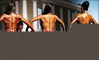 Click image for larger version

Name:	Cat.Miss Shape-30 Conf. schiena (8).jpg
Views:	78
Size:	42.6 KB
ID:	15897276