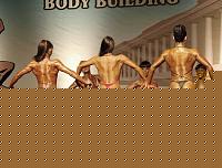 Click image for larger version

Name:	Cat.Miss Shape-30 Conf. schiena (17).jpg
Views:	76
Size:	95.3 KB
ID:	15897277