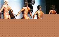 Click image for larger version

Name:	Cat.Miss Shape-30 Conf. schiena (9).jpg
Views:	72
Size:	45.9 KB
ID:	15897278