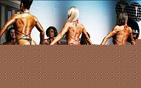 Click image for larger version

Name:	Cat.Miss Shape-30 Conf. schiena (25).jpg
Views:	65
Size:	44.3 KB
ID:	15897283