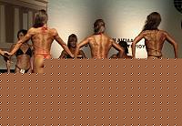 Click image for larger version

Name:	Cat.Miss Shape-30 Conf. schiena (18).jpg
Views:	237
Size:	82.1 KB
ID:	15897303