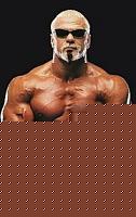 Click image for larger version

Name:	180px-Scott_Steiner.jpg
Views:	72
Size:	10.6 KB
ID:	15897319