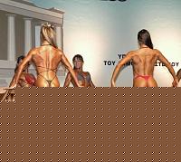 Click image for larger version

Name:	Cat.Miss Shape-30 Conf. schiena (27).jpg
Views:	238
Size:	95.7 KB
ID:	15897365