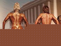 Click image for larger version

Name:	Cat.Miss Shape-30 Conf. schiena (31).jpg
Views:	291
Size:	78.7 KB
ID:	15897397