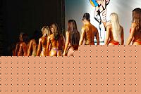 Click image for larger version

Name:	Cat.Miss Shape-30 Conf. uscita (3).jpg
Views:	448
Size:	97.8 KB
ID:	15897436