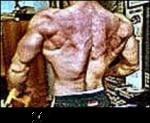 Click image for larger version

Name:	schiena3copyyd9un1.th.jpg
Views:	149
Size:	5.7 KB
ID:	15897546