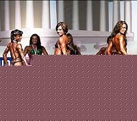 Click image for larger version

Name:	Cat.Miss Shape-30 Prem. (28).jpg
Views:	232
Size:	37.9 KB
ID:	15897786