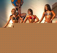 Click image for larger version

Name:	Cat.Miss Shape-30 Prem. (39).jpg
Views:	64
Size:	119.5 KB
ID:	15899258