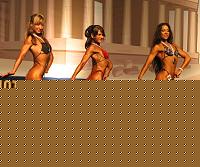 Click image for larger version

Name:	Cat.Miss Shape-30 Prem. (39.).jpg
Views:	60
Size:	107.7 KB
ID:	15899259