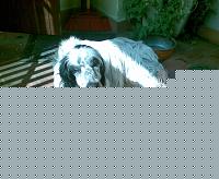 Click image for larger version

Name:	Foto005.jpg
Views:	88
Size:	102.1 KB
ID:	15899329