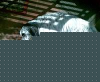Click image for larger version

Name:	Foto006.jpg
Views:	87
Size:	104.3 KB
ID:	15899330