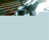 Click image for larger version

Name:	Foto007.jpg
Views:	83
Size:	88.1 KB
ID:	15899331