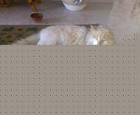 Click image for larger version

Name:	30122008237.jpg
Views:	190
Size:	64.4 KB
ID:	15899333