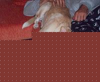Click image for larger version

Name:	100_1890.jpg
Views:	209
Size:	115.1 KB
ID:	15899340