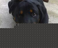 Click image for larger version

Name:	05042009852.jpg
Views:	400
Size:	62.7 KB
ID:	15899341