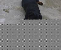 Click image for larger version

Name:	05042009853.jpg
Views:	395
Size:	71.8 KB
ID:	15899342