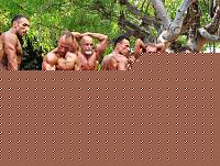 Click image for larger version

Name:	Cat Atheltic Piccole Taglie  conf (15).jpg
Views:	666
Size:	154.9 KB
ID:	15899630