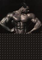 Click image for larger version

Name:	sarni06.jpg
Views:	2268
Size:	51.8 KB
ID:	15899706