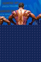 Click image for larger version

Name:	GIO1[1].jpg
Views:	530
Size:	7.0 KB
ID:	15899733
