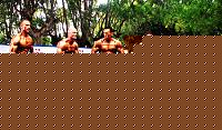 Click image for larger version

Name:	Cat Atheltic Piccole Taglie  conf (19).jpg
Views:	655
Size:	156.1 KB
ID:	15899739