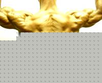 Click image for larger version

Name:	DSCN0271.jpg
Views:	122
Size:	109.3 KB
ID:	15899865
