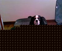 Click image for larger version

Name:	Dasy.jpg
Views:	189
Size:	55.1 KB
ID:	15899916
