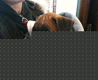 Click image for larger version

Name:	IMG_0276.jpg
Views:	119
Size:	75.8 KB
ID:	15900295