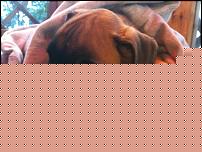 Click image for larger version

Name:	IMG_0282.jpg
Views:	62
Size:	93.6 KB
ID:	15900296