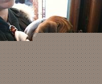 Click image for larger version

Name:	IMG_0275.jpg
Views:	55
Size:	73.3 KB
ID:	15900297