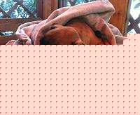 Click image for larger version

Name:	IMG_0278.jpg
Views:	59
Size:	106.2 KB
ID:	15900298